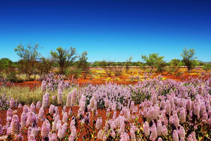 Destination Spotlight: Paraburdoo, WA Image