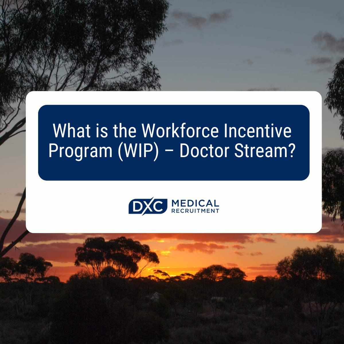 Workforce Incentive Program (WIP) – Doctor Stream Image