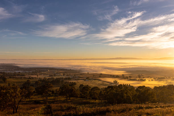 Locum Lives: Meet Dr Rotimi Image