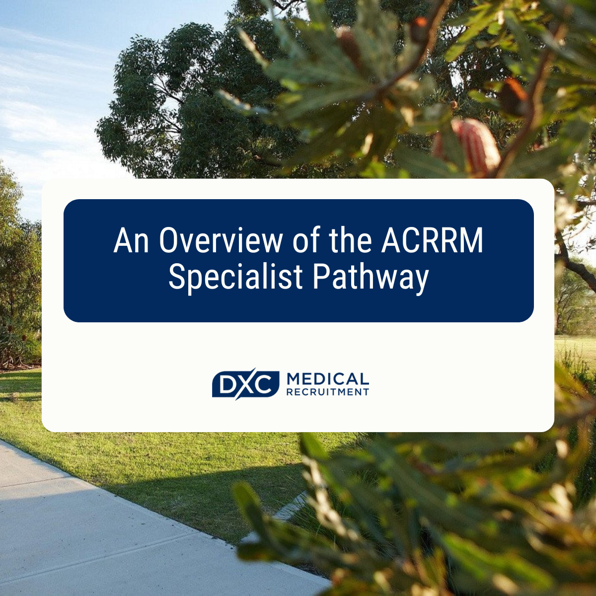 An Overview of the ACRRM Specialist Pathway Image