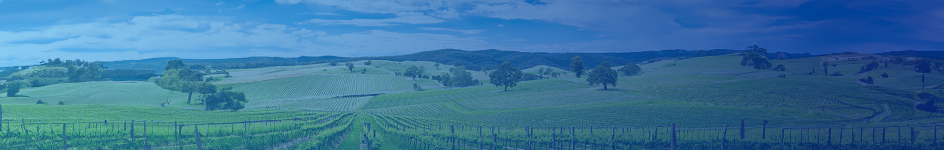 South Australia Banner Image